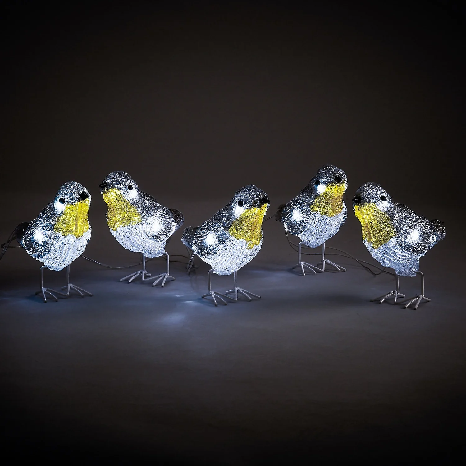Acrylic LED Robins Outdoor Christmas Decoration - Set Of 5 (Battery Operated) 3 Acrylic LED Robins Outdoor Christmas Decoration - Set Of 5 (Battery Operated)