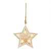 Hanging Star Christmas Tree Decoration (Battery Operated) -Christmas Decoration Shop 12969361 6574884460263372